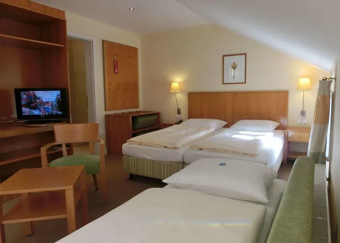 Park Am Lindenplatz Hotell 3*